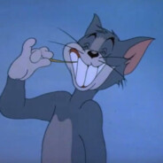 嘎嘎猫的假老练