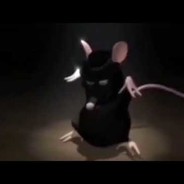 крыса из мема