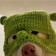 对方正在输入中