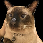 POlarcat