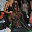 ♠ balotelli