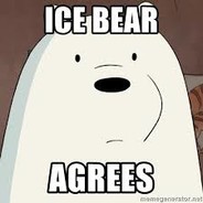 ICE + BEAR