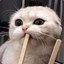 кошка картошка