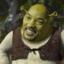 Man in shrek