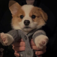 用电妹的电电电妹，电妹会被电妹的电电死吗