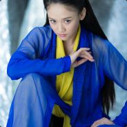 白马银枪梅子酒