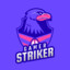 STRIKER