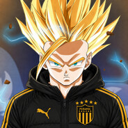 Dr. 1vo