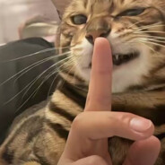 一年一班小小飞