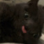 Muann_