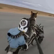 哈基米喔南北绿豆