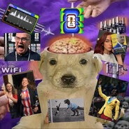 PERRO_13