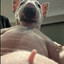 Doug
