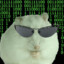 N3IFF