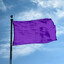 Purple Flag