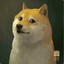 Doge
