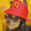 McDog @60hz