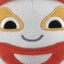 Rag