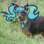 Hatsune Pudú