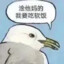 她也曾说过爱我