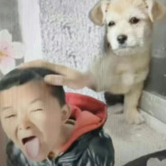 那年与你邂逅的小勤