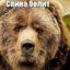 Дристал какалс