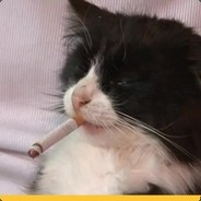 M̴̰̃v̴̊̆̈́f̶̐fy❤