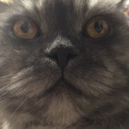 ルネン マルテイ