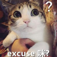 无聊的吃瓜群众