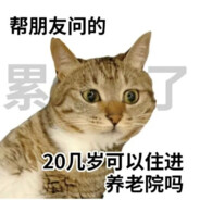 你喵的只会在那喵喵叫