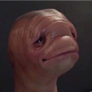 gorb