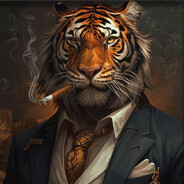 TIGRIS Steam avatar
