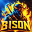 BISON