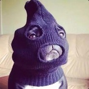 骑驴找马干死算