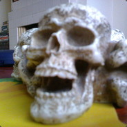 Russell Hayden 's avatar