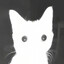 я животное's avatar