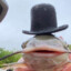 Iced fish