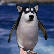 不闻不问不言不语