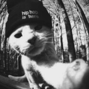White Cat
