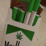 MalBor0*FrosT
