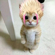 Matvei avatar