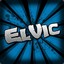 ElVicG