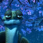 Meister Oogway