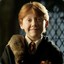 Ronawp Weasley