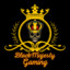 BlackMajesty Gaming