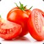Cool Fresh Tomato
