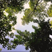 【SVIP】年轻人.wdnmdtv