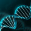 -DNA-