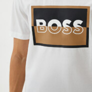 BOSS - steam id 76561198075206038