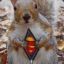 Super Squirrel